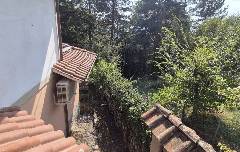 Agenzia Pegasus - 