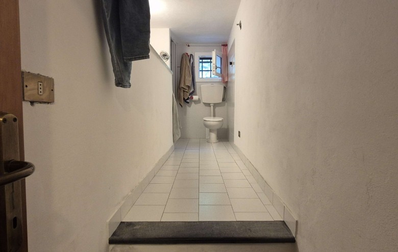 Agenzia Pegasus - 