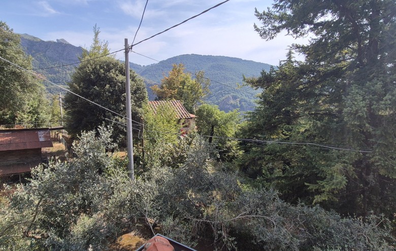 Agenzia Pegasus - 