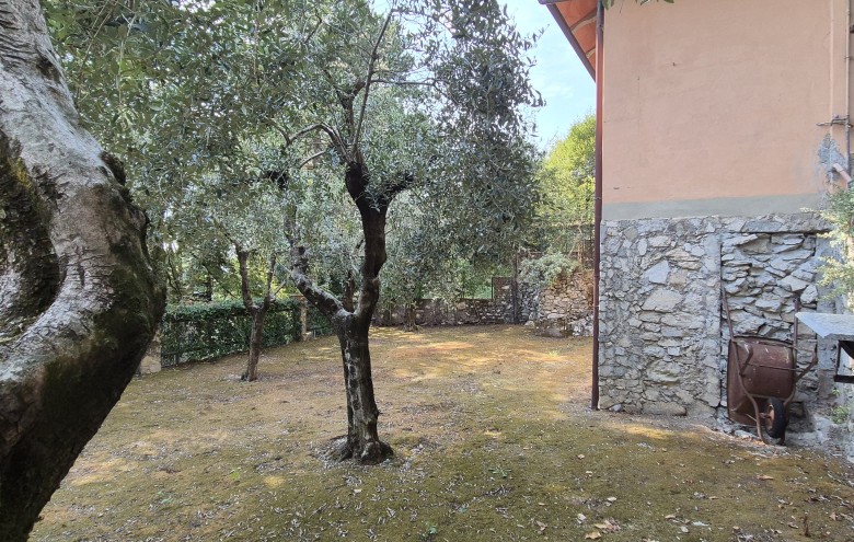Agenzia Pegasus - 