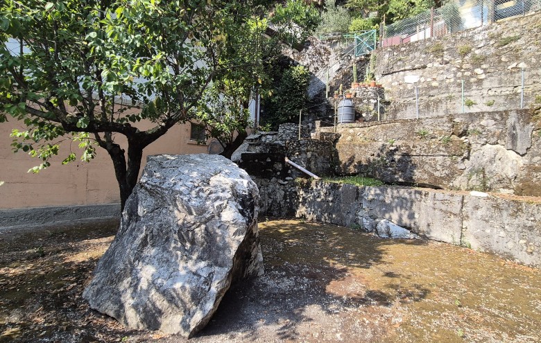 Agenzia Pegasus - 