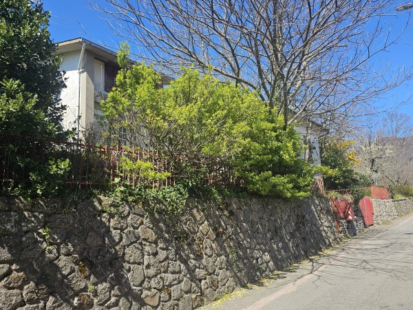 Riferimento FCbagnore - Casa Singola in Vendita a Santa Fiora