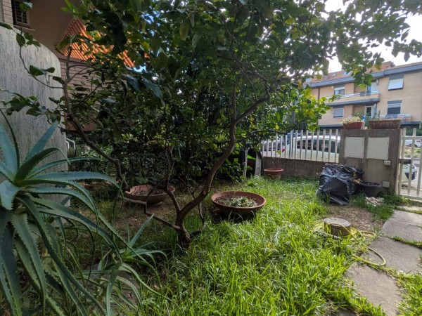 Riferimento 6VANIOLIVETODA - Appartamento in Vendita a Grosseto