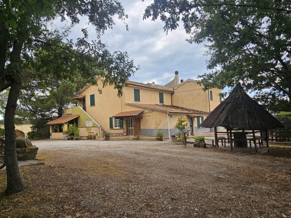 Riferimento AgriVelio - Agriturismo in Vendita a Cinigiano