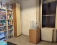 Pegasus - 