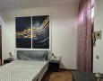 Pegasus - 