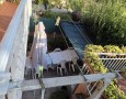 Pegasus - 