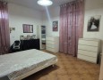 Pegasus - 