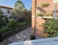Pegasus - 