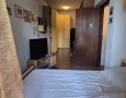 Pegasus - 