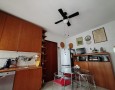 Pegasus - 