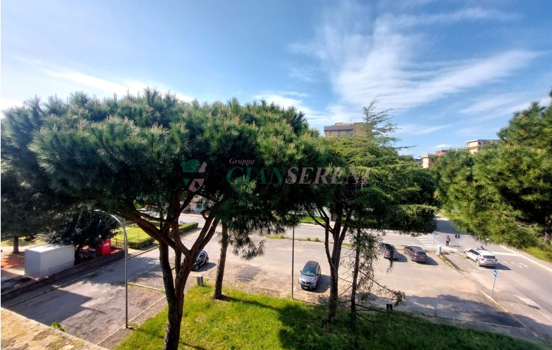 Agenzia Giansereni - 