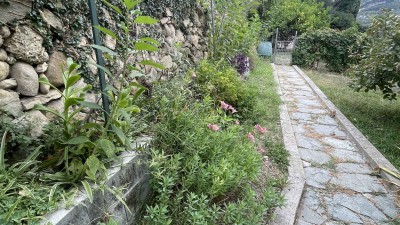 Villain Vendita, Ventimiglia - Roverino - Prima Periferia - Riferimento: v118
