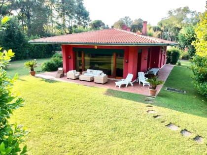 Immobile LT 813 Villa girasole - Villa in Affitto a Marina Di Pietrasanta