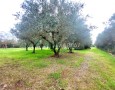 Giansereni Case - 