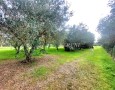 Giansereni Case - 