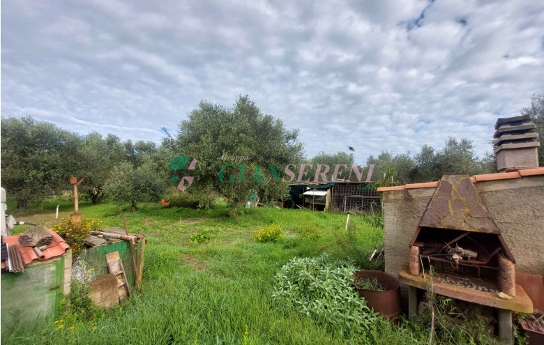 Agenzia Giansereni - 