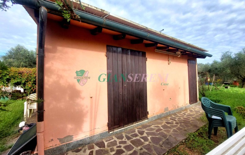 Agenzia Giansereni - 