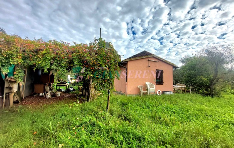 Agenzia Giansereni - 