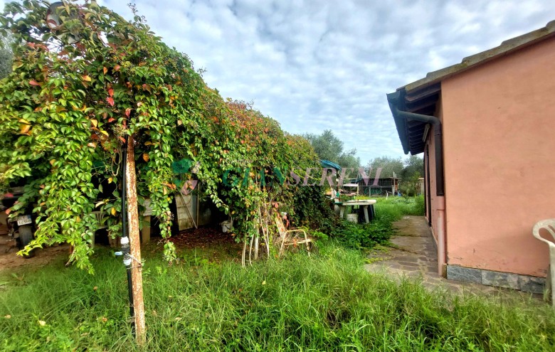 Agenzia Giansereni - 