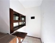 Pegasus - 