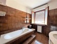Pegasus - 