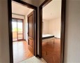 Pegasus - 