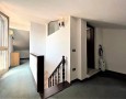 Pegasus - 