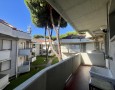 Pegasus - 