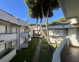 Pegasus - 