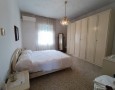 Pegasus - 