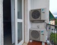 Pegasus - 
