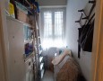 Pegasus - 