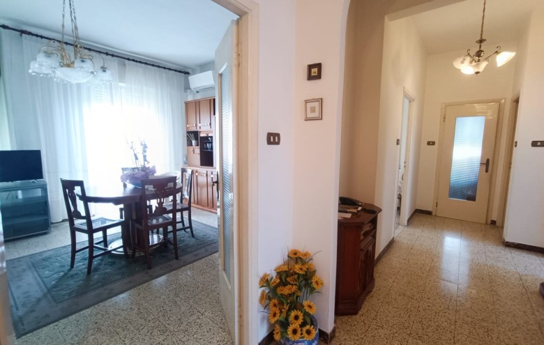 Agenzia Pegasus - 
