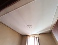 Pegasus - 