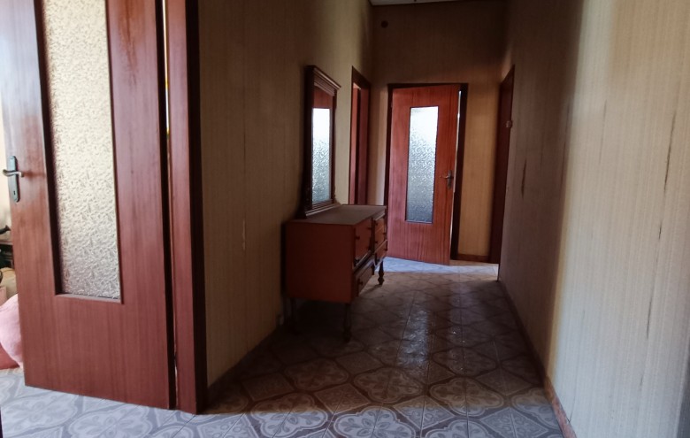 Agenzia Pegasus - 