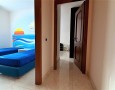Pegasus - 