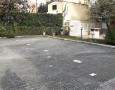 Pegasus - 