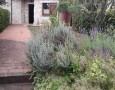 Aquileia - aq-2161-appartamento-indipendente-rocchette-di-fazio-1ef48.webp