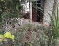 Aquileia - aq-2161-appartamento-indipendente-rocchette-di-fazio-77398.webp