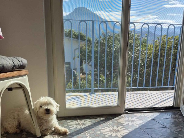 Rif. V0774 - villa singola in vendita a Pietrasanta | Foto 45