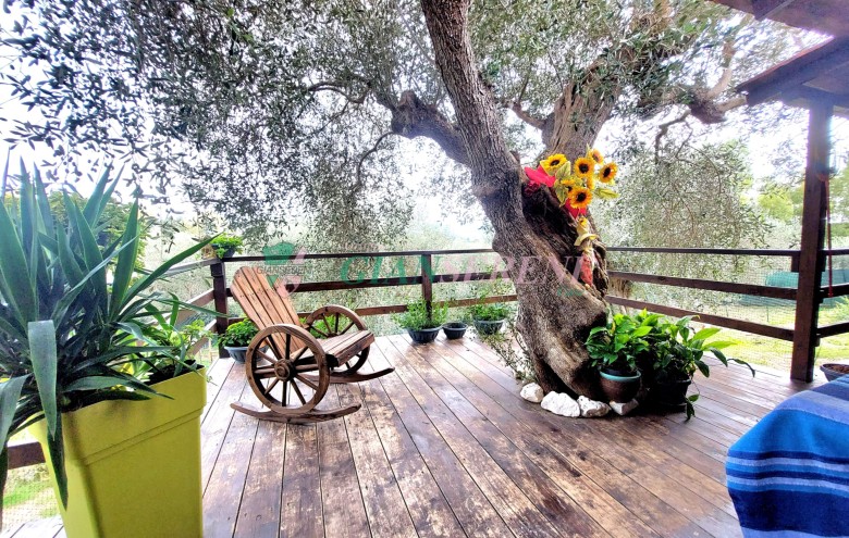 Agenzia Giansereni - 