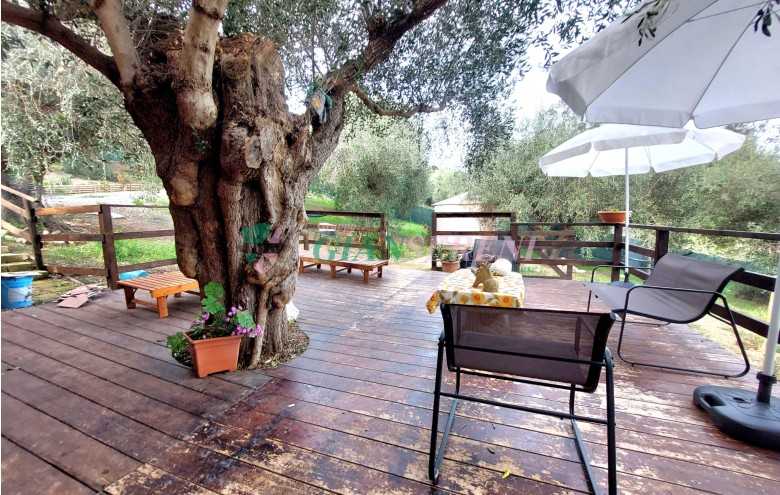 Agenzia Giansereni - 