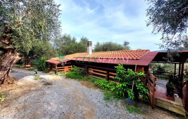 Agenzia Giansereni - 