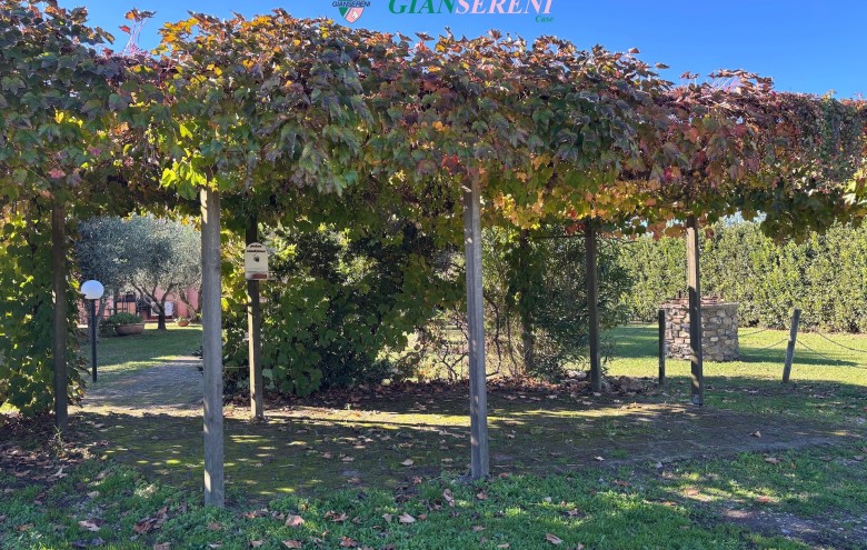 Agenzia Giansereni - 