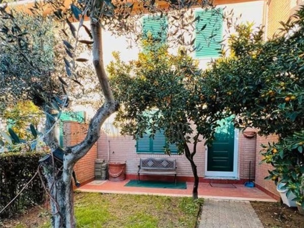 Massa - Sei Ponti - Vendesi Vi