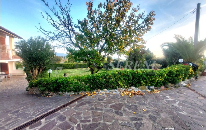 Agenzia Giansereni - 