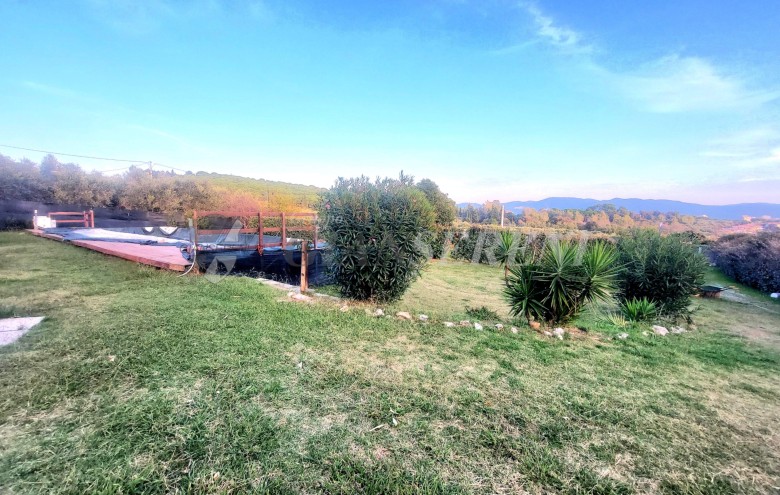 Agenzia Giansereni - 