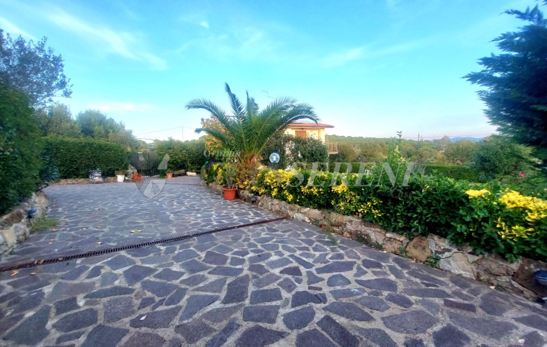 Agenzia Giansereni - 