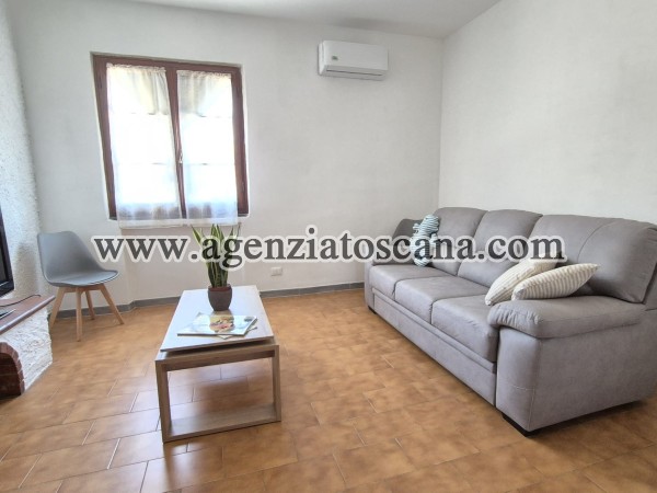 Appartamento in affitto, Seravezza - Querceta -  1